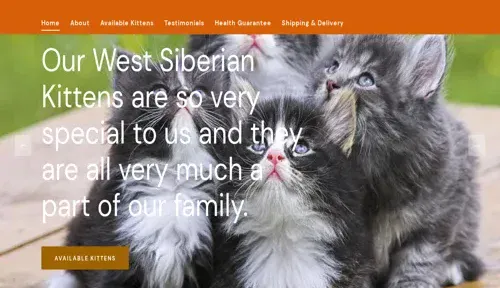 A screenshot of Genlanfamilystbernard.com
