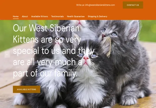 is westsiberianskittens.com legit? screenshot