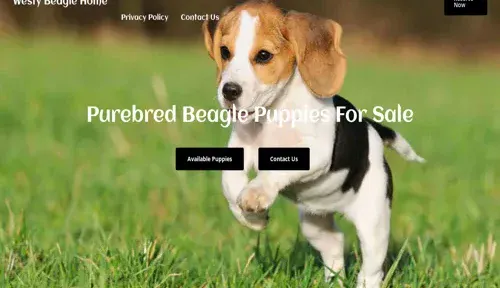 A screenshot of Genlanfamilystbernard.com
