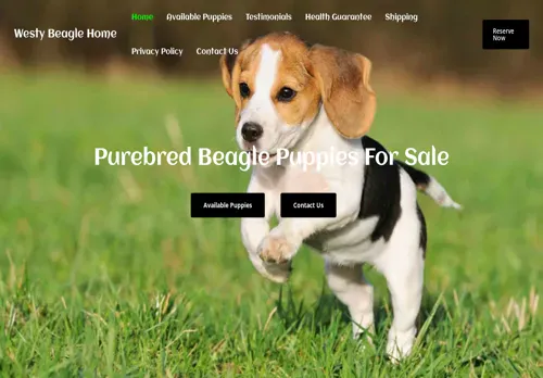 is westybeaglehome.com legit? screenshot