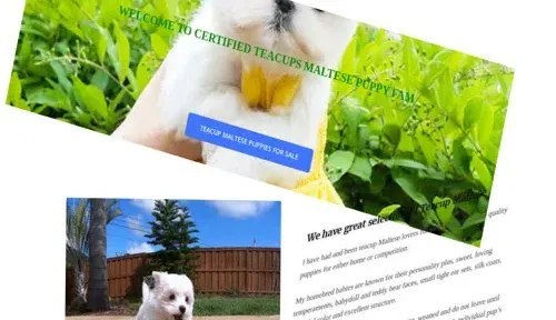 A screenshot of Genlanfamilystbernard.com