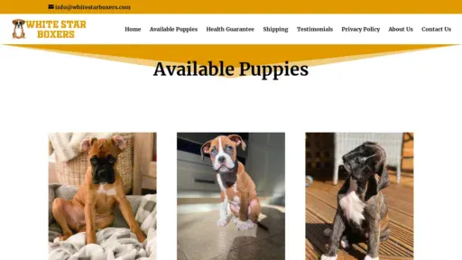 A screenshot of Whitestarboxers.com