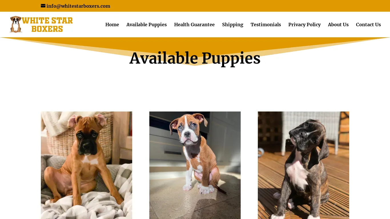 is whitestarboxers.com legit? screenshot