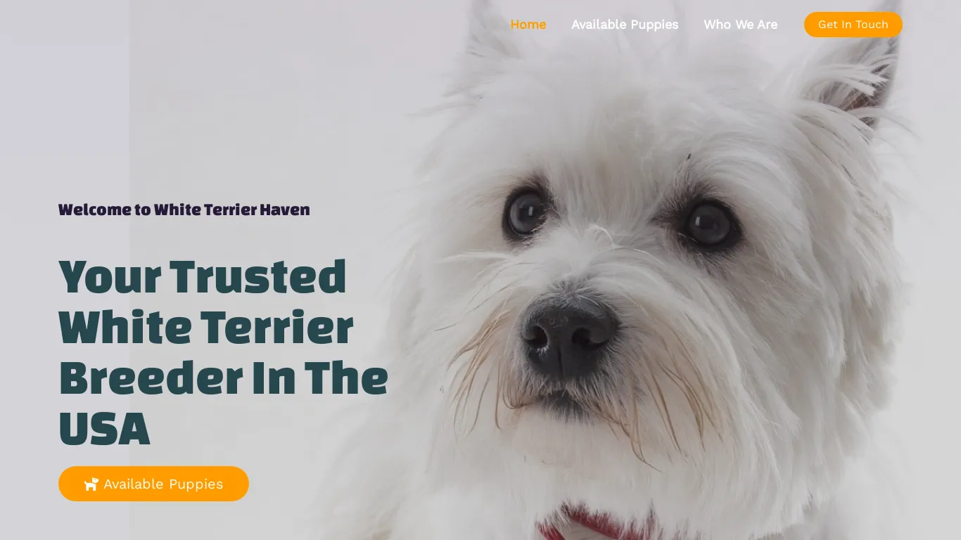 is whiteterrierbreeder.com legit? screenshot