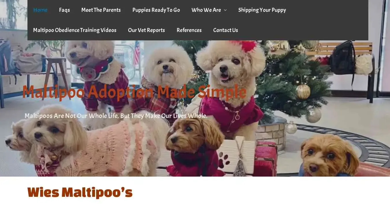 is wies-family.com legit? screenshot