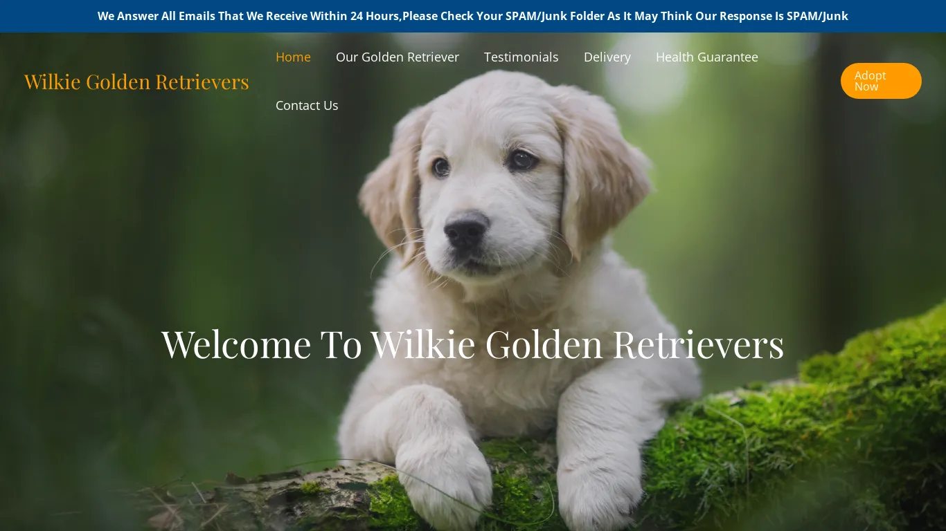 is wilkiegoldenretrievers.com legit? screenshot
