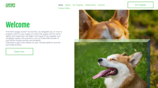 A screenshot of Willclaytonscorgis.com