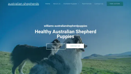 A screenshot of Williamaustralianshepherdpuppies.com