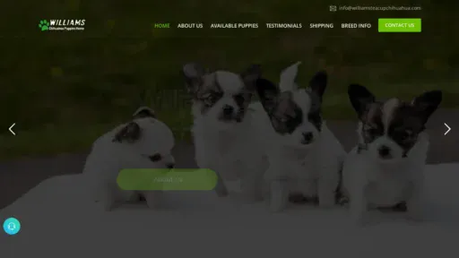A screenshot of Williamsteacupchihuahua.com