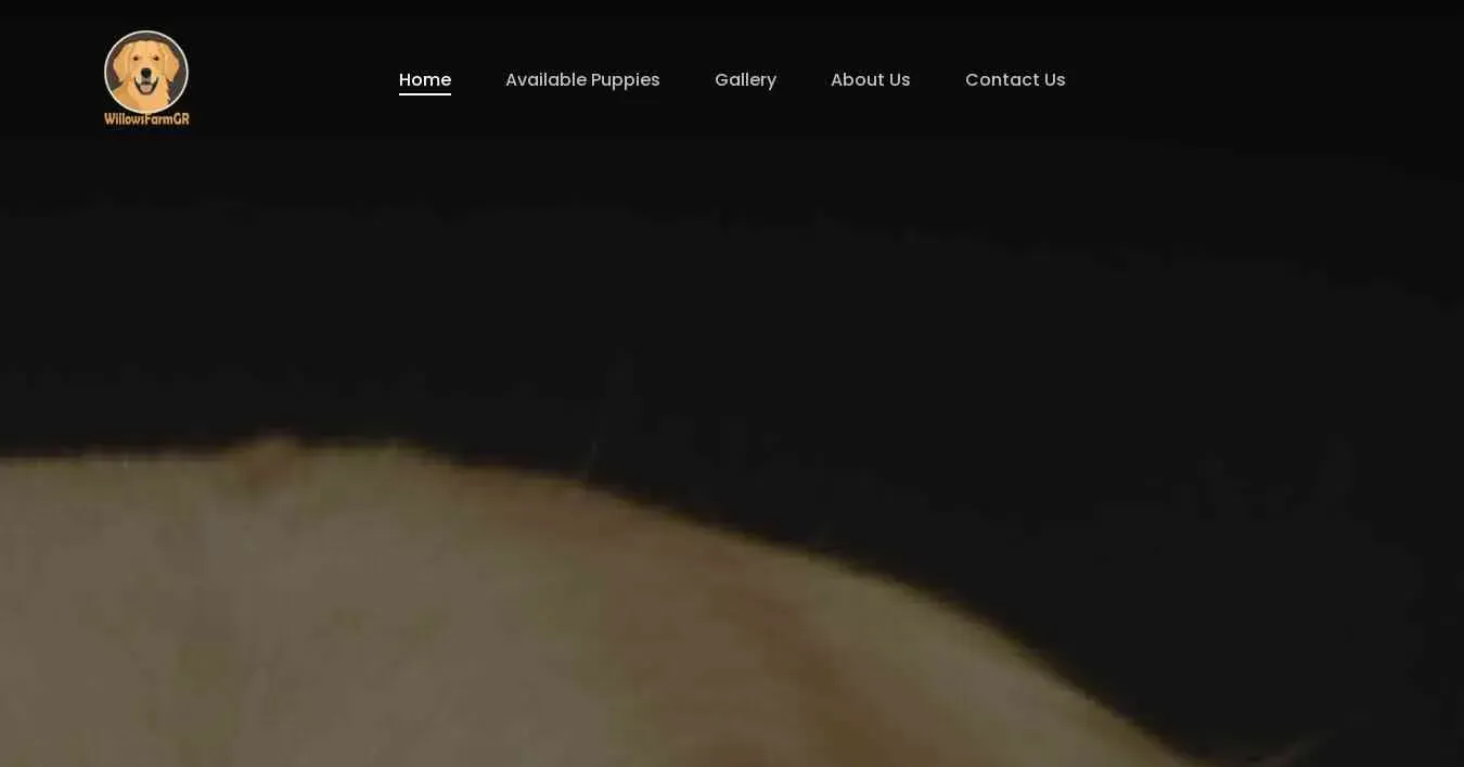 is willowfarmgoldenretriever.org legit? screenshot