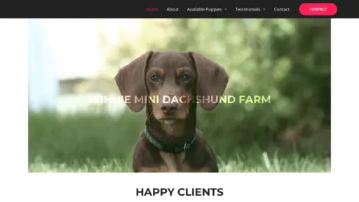 A screenshot of Winnieminidashchundfarm.com