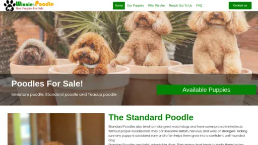A screenshot of Winniespoodlepuppies.com