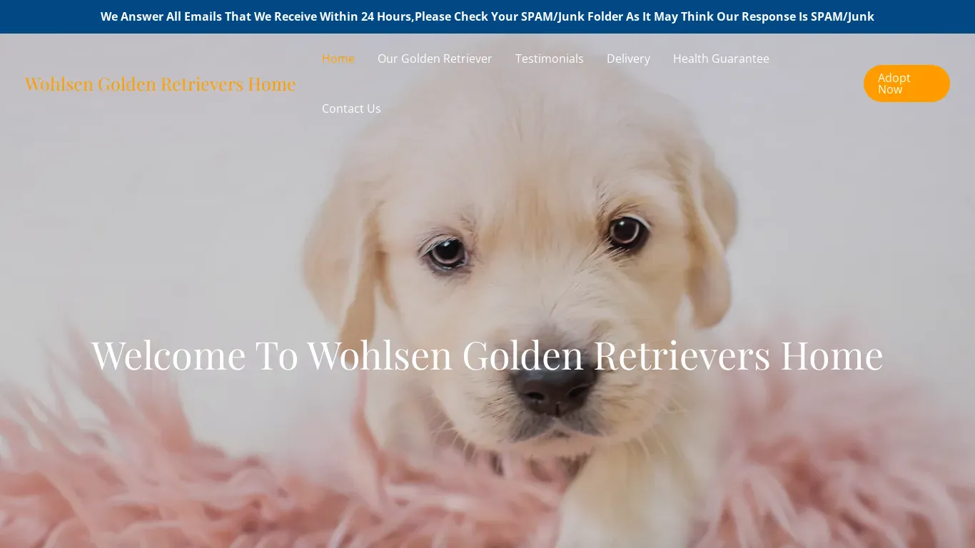 is wohlsengoldenretrievershome.com legit? screenshot