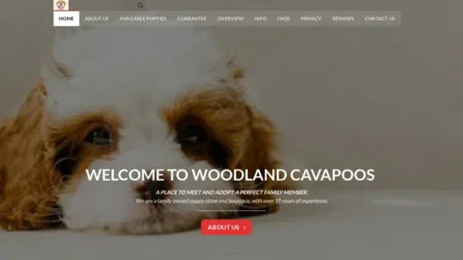 A screenshot of Woodlandcavapoos.com