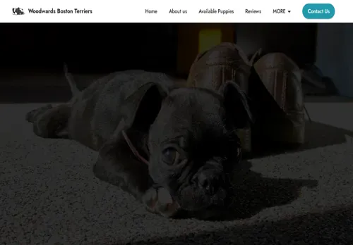 is woodwardsbostonterriers.com legit? screenshot