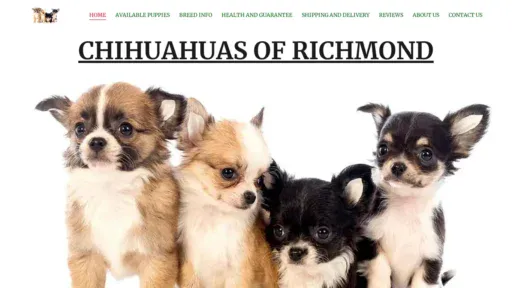 A screenshot of Worldofchihuahuas.com