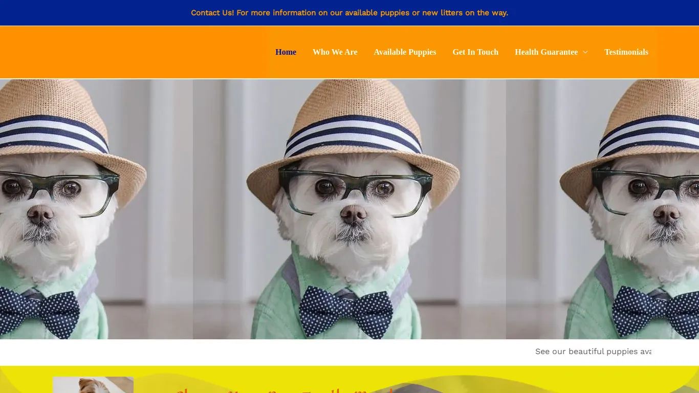 is wovenshihtzu.com legit? screenshot