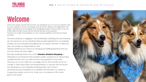 A screenshot of Yolandassheltiepups.com
