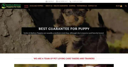 A screenshot of Genlanfamilystbernard.com