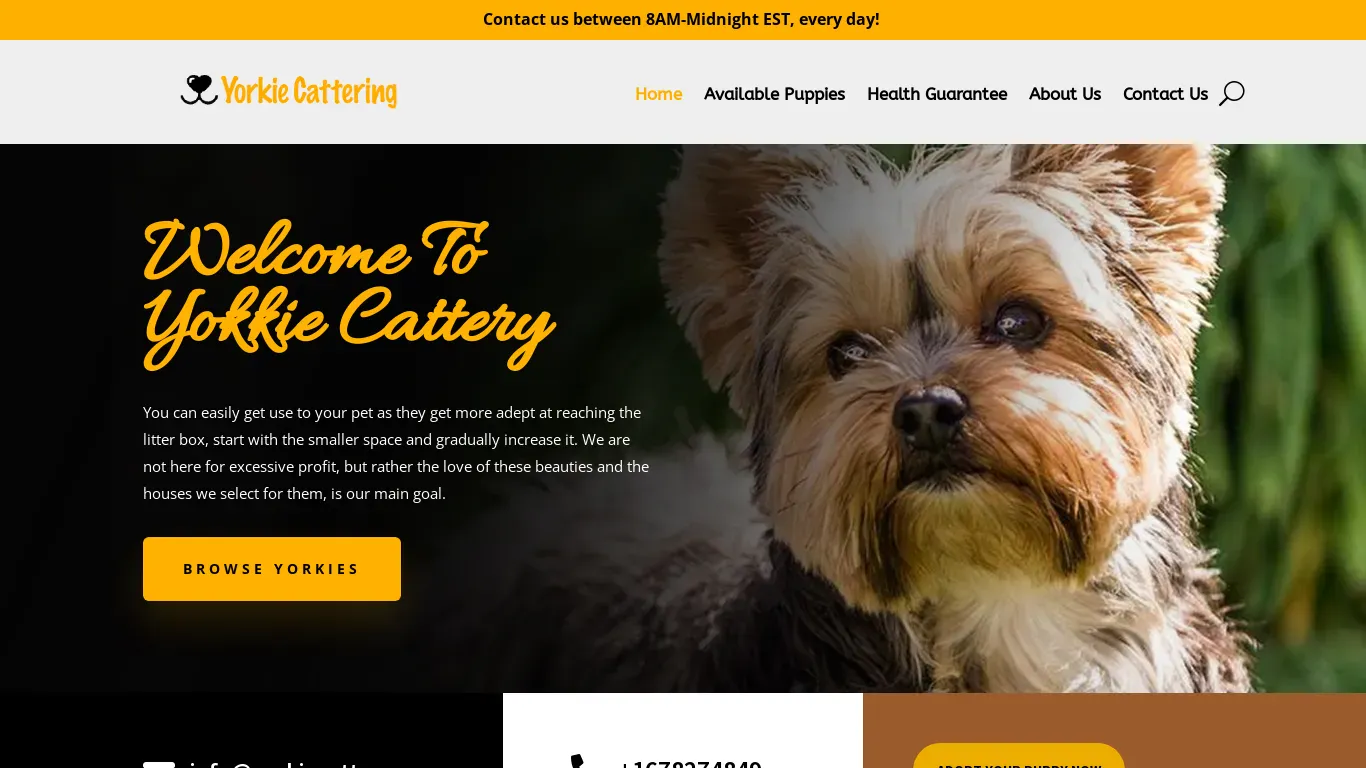 is yorkiecattery.com | Adopt a yorkie pet online | Yorkshire puppies | Adopt puppies online | Reputable Yorkshire puppy breeders | puppy home | puppyspot | best Yorkshire puppy home legit? screenshot