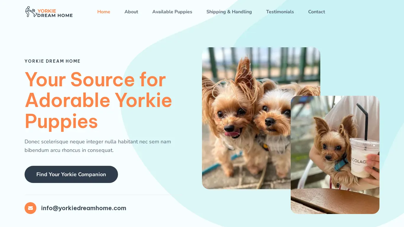 is yorkiedreamhome.com legit? screenshot