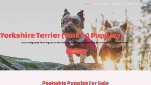 A screenshot of Yorkiepuppiesforrehoming.com