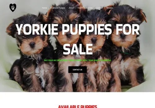 is yorkiepuppiesforsale.us legit? screenshot