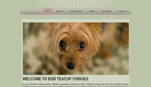 A screenshot of Genlanfamilystbernard.com