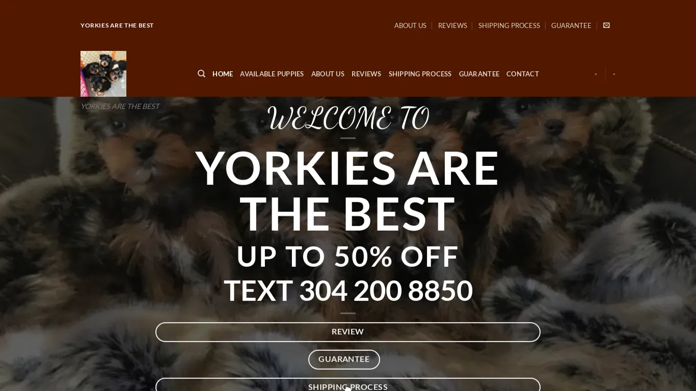 is yorkiesarethebest.com legit? screenshot