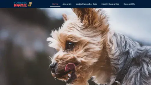 A screenshot of Yorkiespuppiesforsale.com