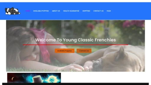 A screenshot of Youngclassicfrenchies.com