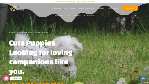 A screenshot of Yourhomemaltipoo.com