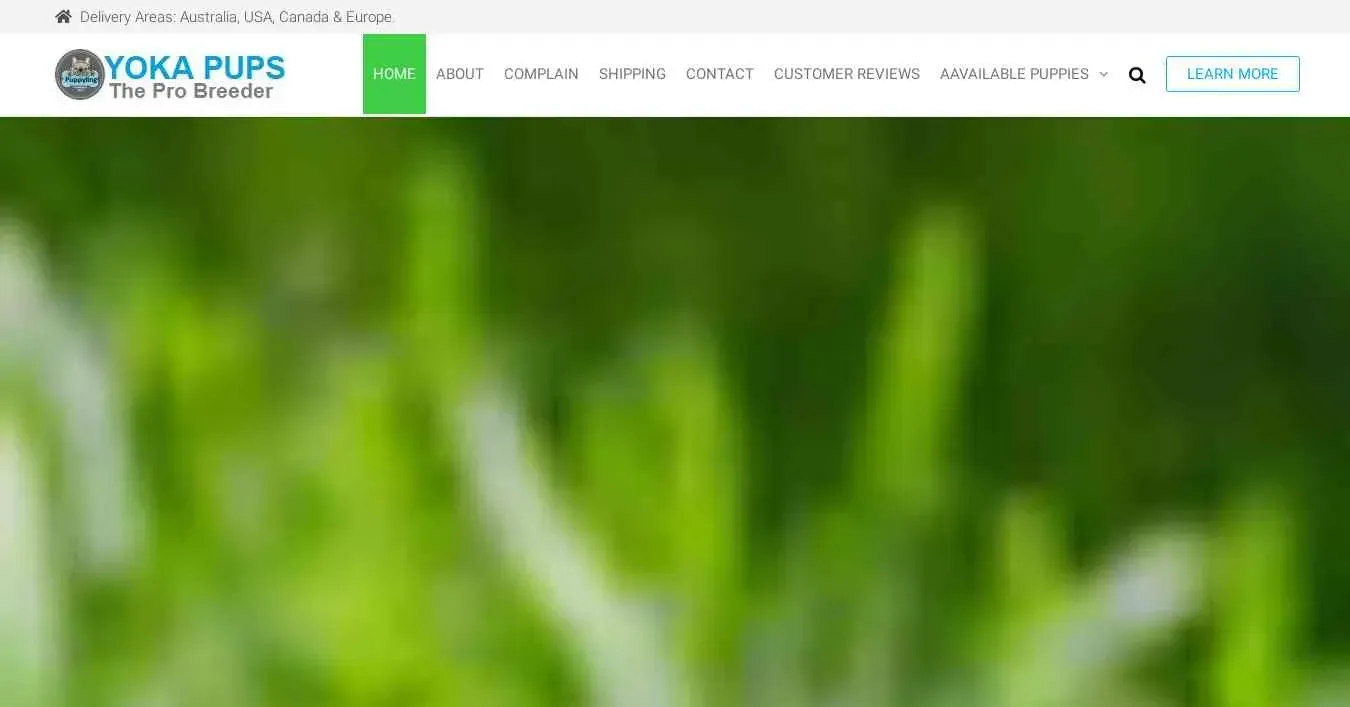 is yukapups.com legit? screenshot