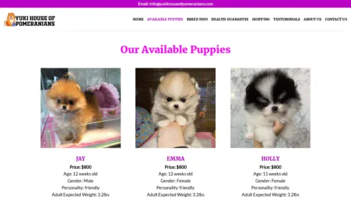 A screenshot of Yukihouseofpomeranians.com