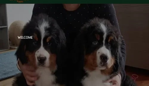 A screenshot of Genlanfamilystbernard.com