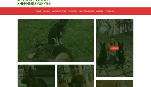 A screenshot of Genlanfamilystbernard.com