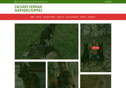 is zacharygermanshepherdpuppies.com legit? screenshot
