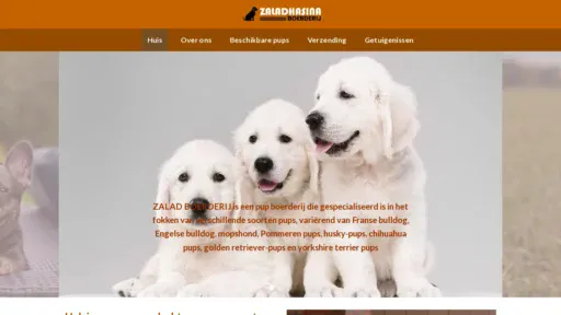A screenshot of Zaladhasinasparenhandel.com