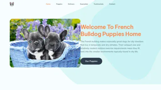 A screenshot of Zeefrenchies.com