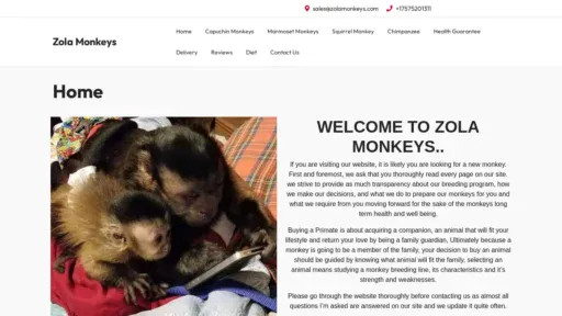 A screenshot of Zolamonkeys.com