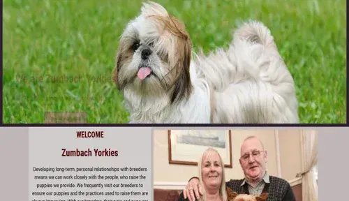 A screenshot of Genlanfamilystbernard.com