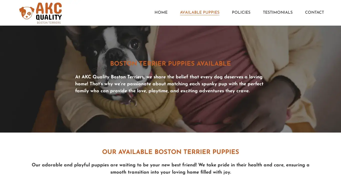 is AKC Quality Boston Terrier legit? screenshot