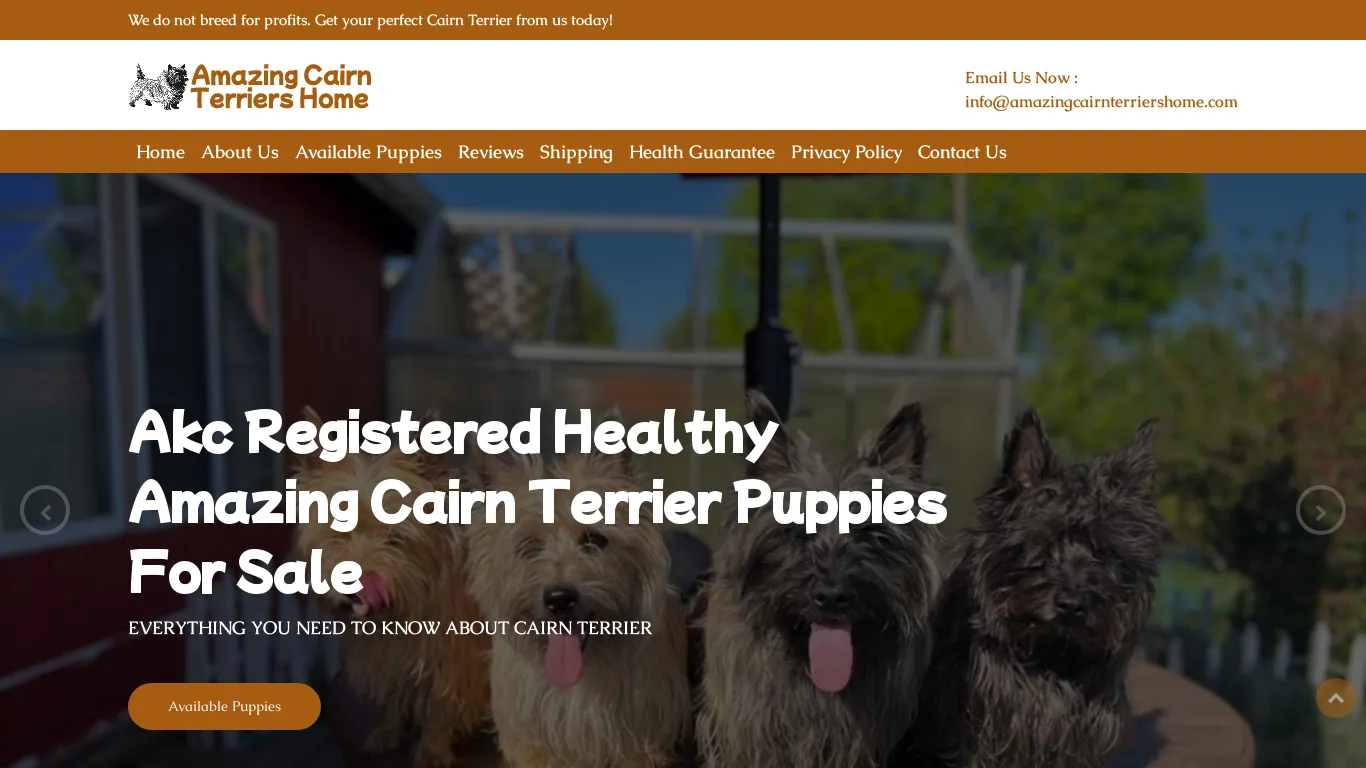 is Home | Amazing Cairn Terrier Puppies For Sale | amazingcairnterriershome.com legit? screenshot