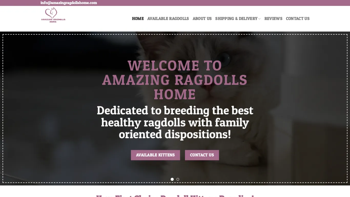 is Amazing Ragdolls Home – Buy ragdoll kittens Online! legit? screenshot