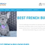 Is Besfrenchbulldogpups.com legit?