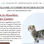 Is Cherrymunchkins.com legit?