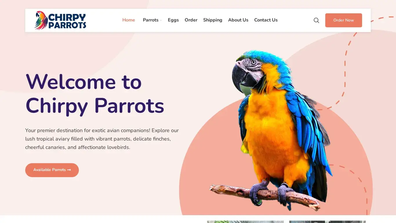 is Chirpy Parrots legit? screenshot