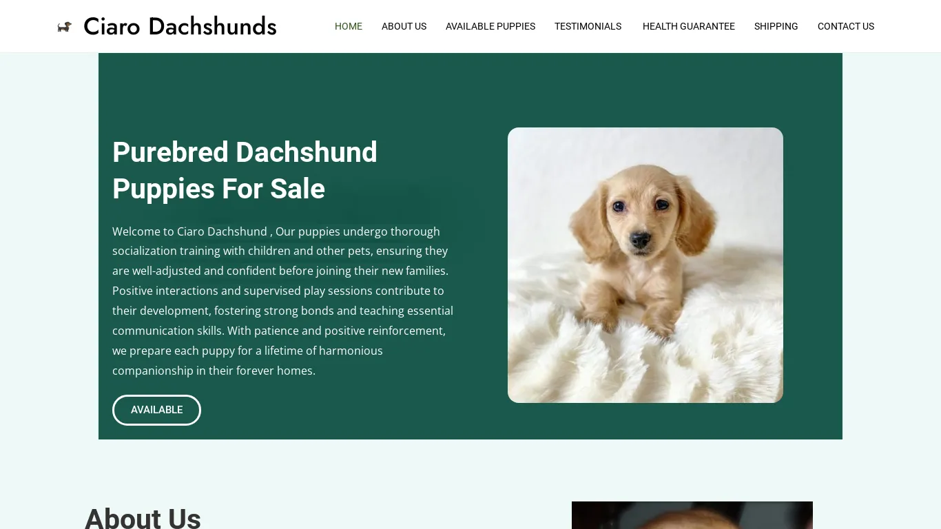 is Ciaro Dachshunds – Purebred Dachshund Puppies For Sale legit? screenshot