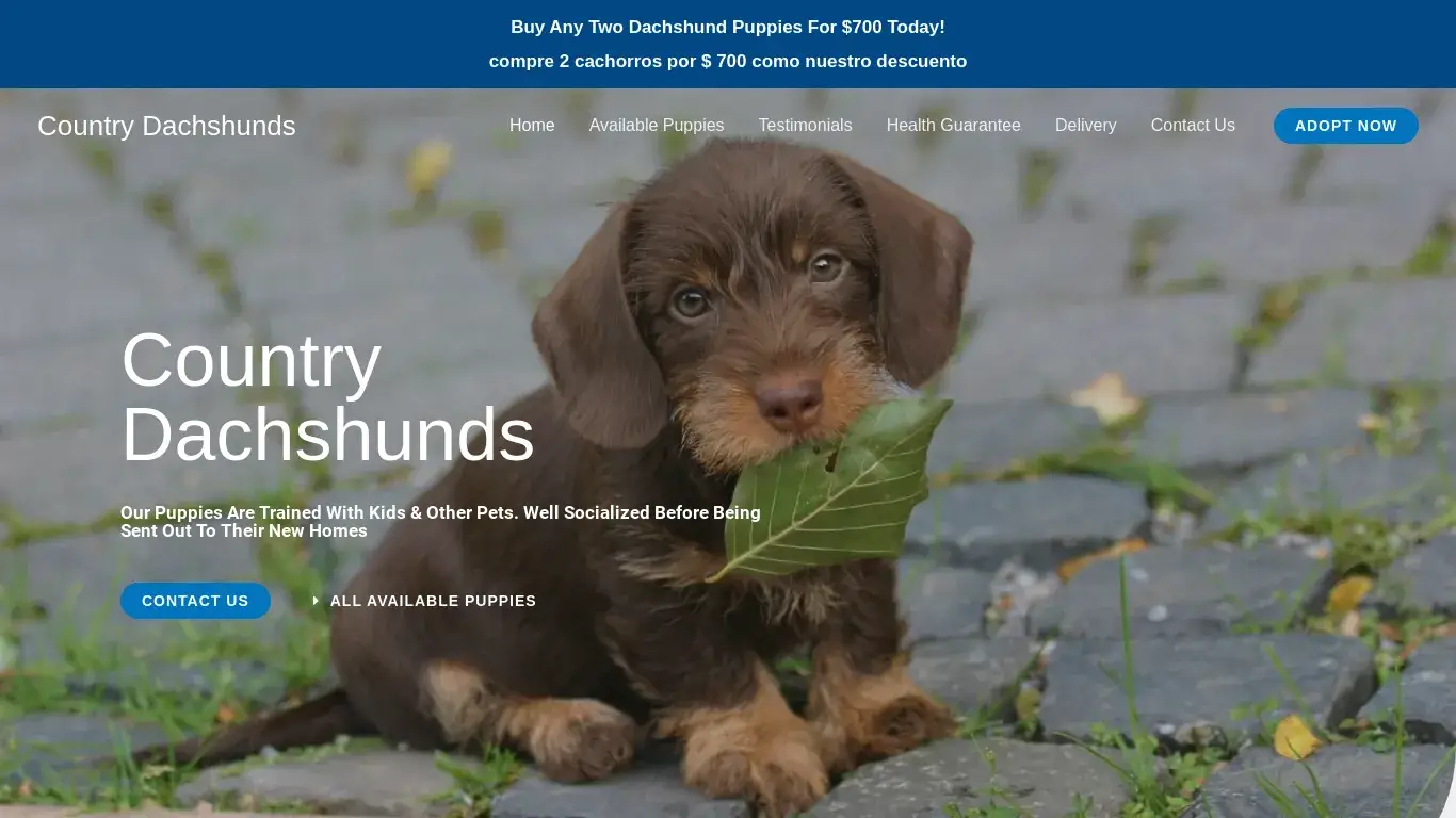 is Country Dachshunds – Purebred Dachshund Puppies For Sale legit? screenshot