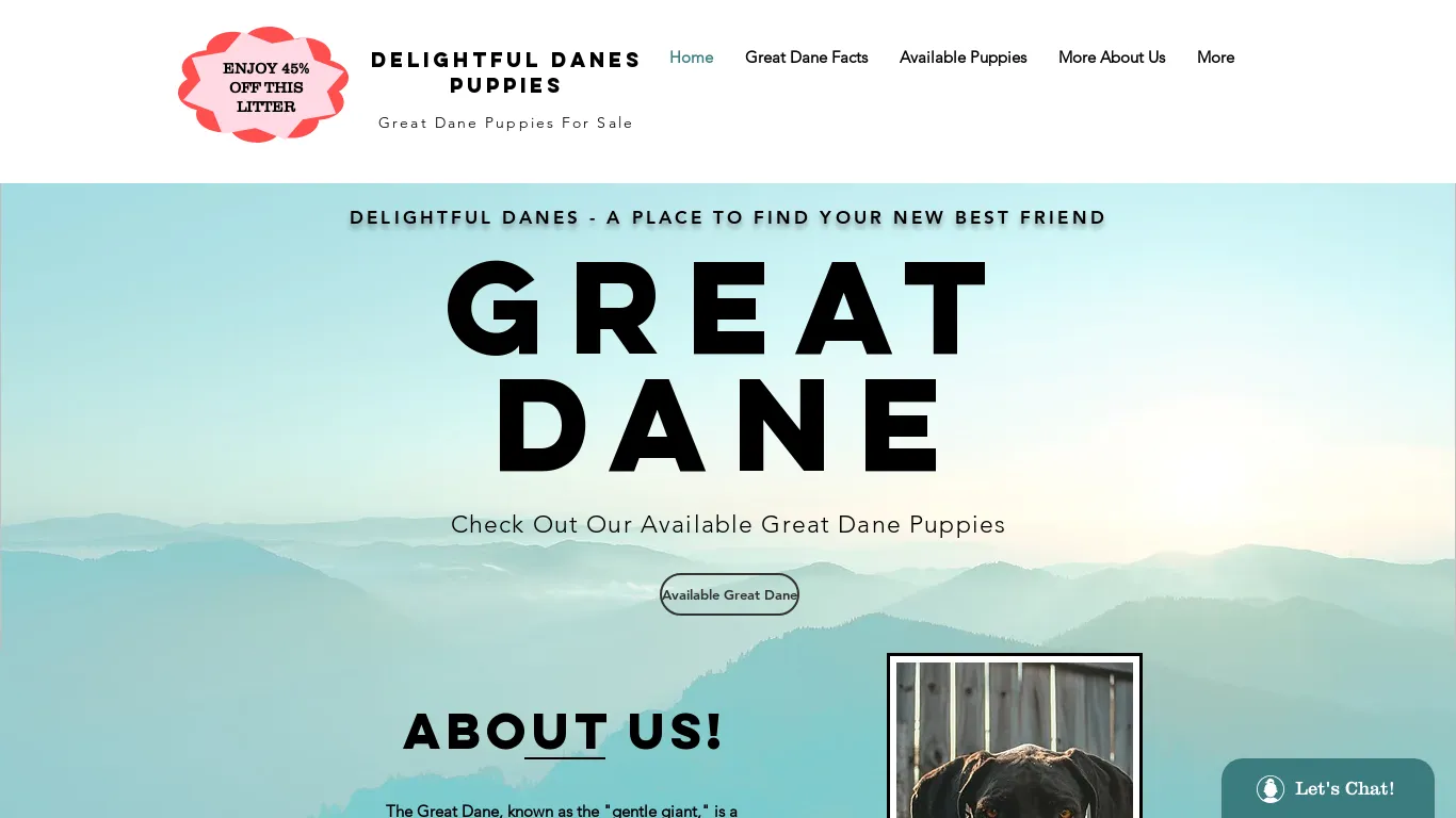 is Great Dane For Sale | Delightul Danes| United States legit? screenshot